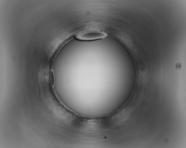 X0000111500064200907141322