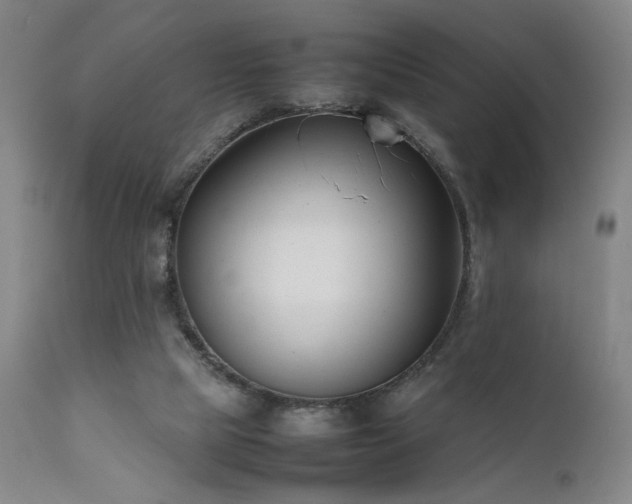 X0000111500065200907141322