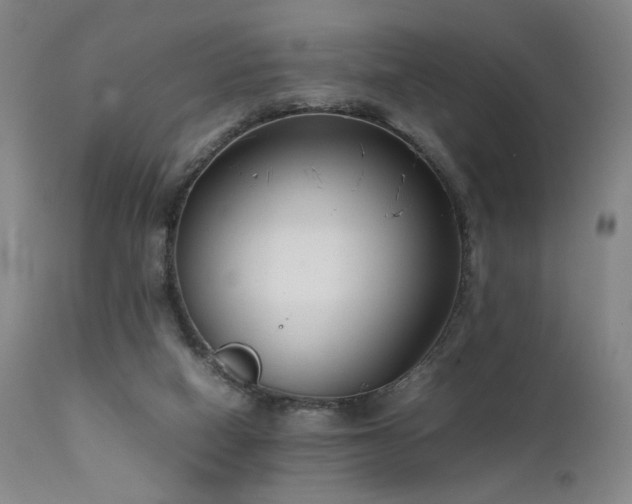 X0000111500066200907141322