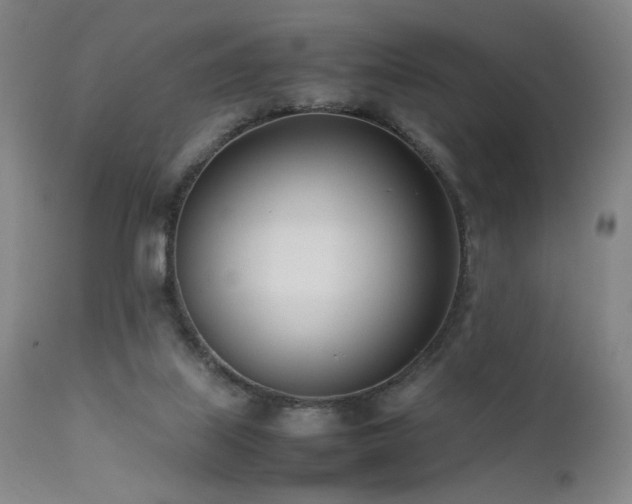 X0000111500067200907141322
