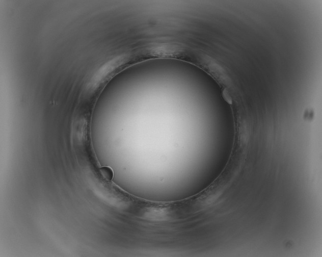 X0000111500071200907141322