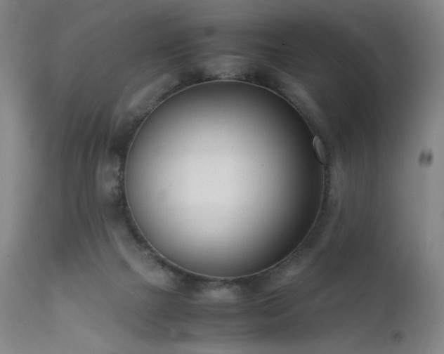 X0000111500073200907141322