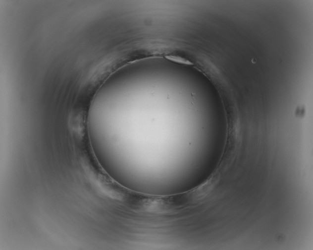 X0000111500074200907141322
