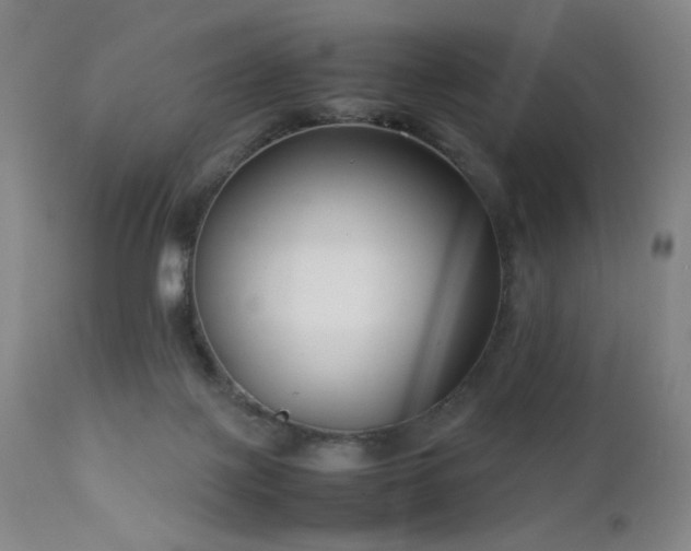 X0000111500075200907141322