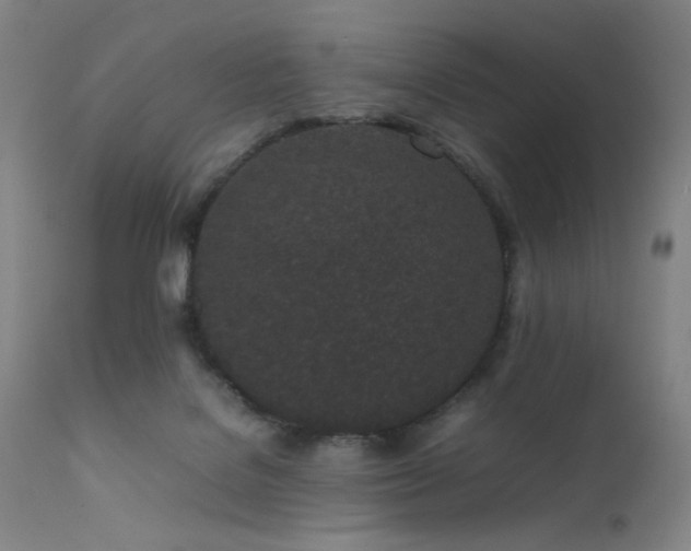 X0000111500076200907141322