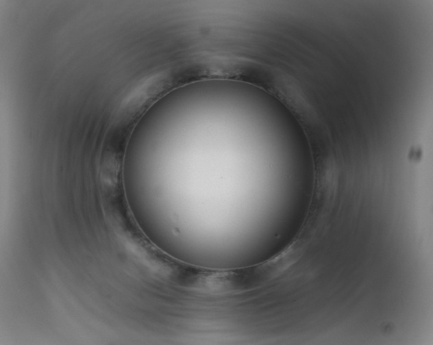 X0000111500078200907141322
