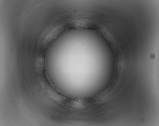 X0000111500079200907141322