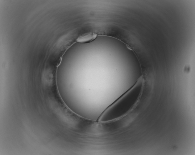 X0000111500080200907141322
