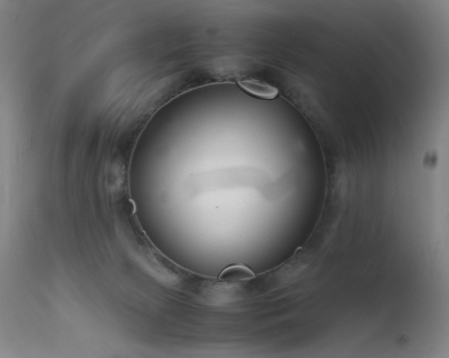 X0000111500081200907141322