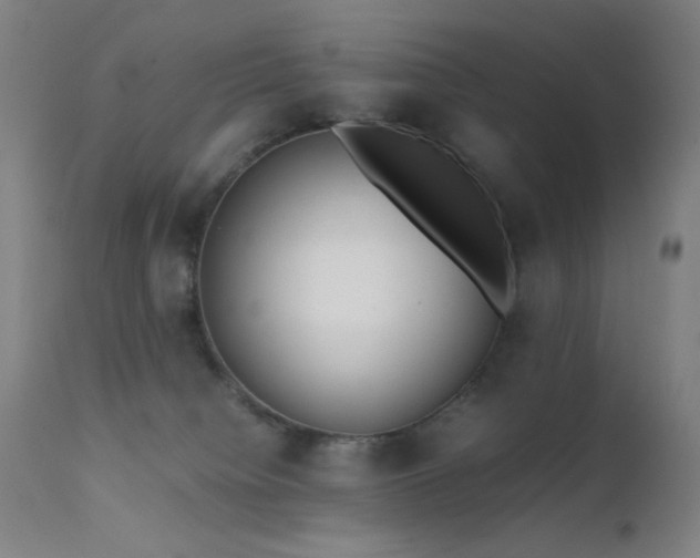 X0000111500084200907141322
