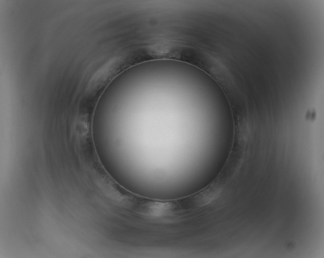 X0000111500085200907141322