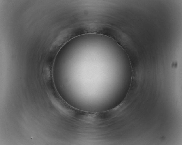 X0000111500086200907141323