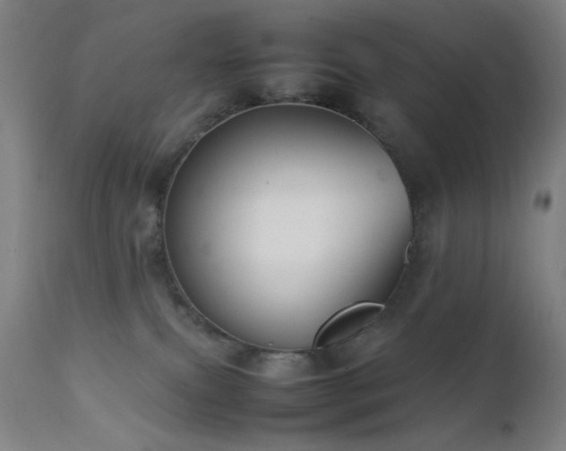 X0000111500087200907141323