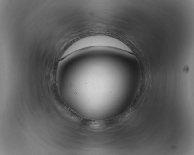 X0000111500088200907141323