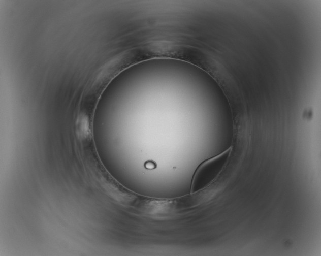 X0000111500089200907141323