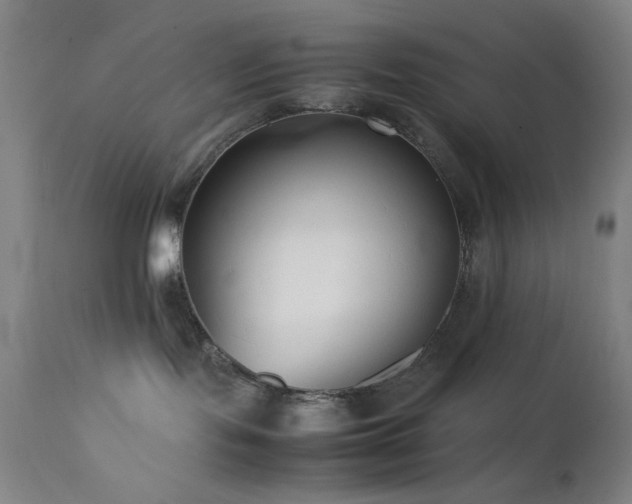 X0000111500095200907141323