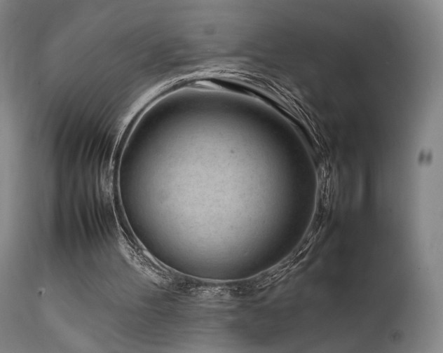 X0000111500100200907141322