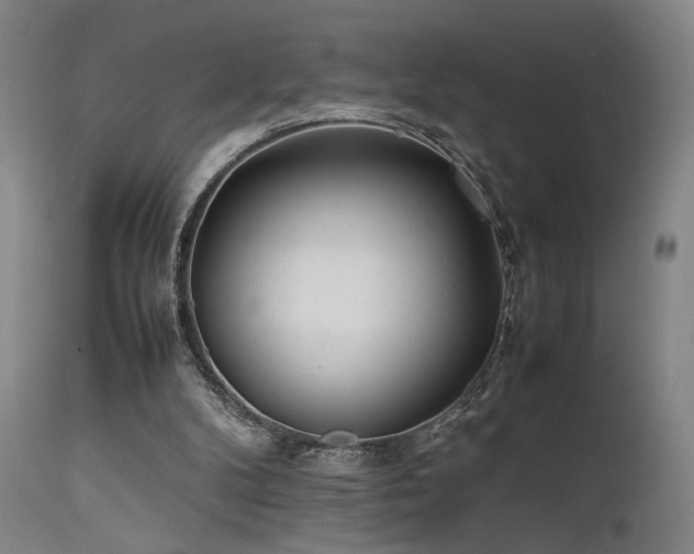 X0000111500104200907141322