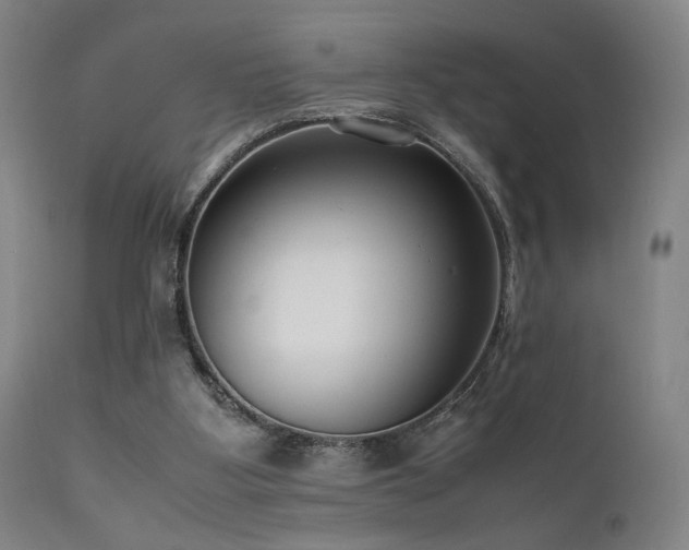 X0000111500107200907141322