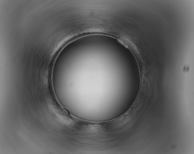 X0000111500108200907141322