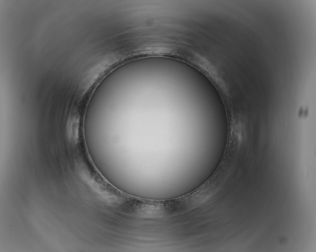 X0000111500110200907141322