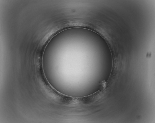 X0000111500111200907141322