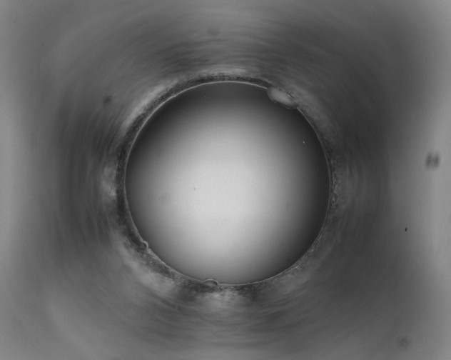 X0000111500112200907141322