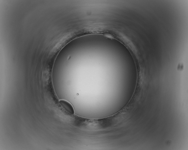 X0000111500113200907141322