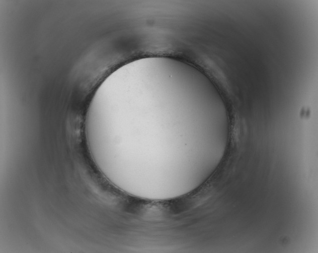X0000111500115200907141322