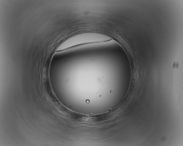 X0000111500117200907141322