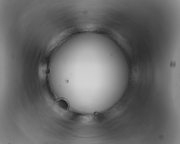 X0000111500118200907141322