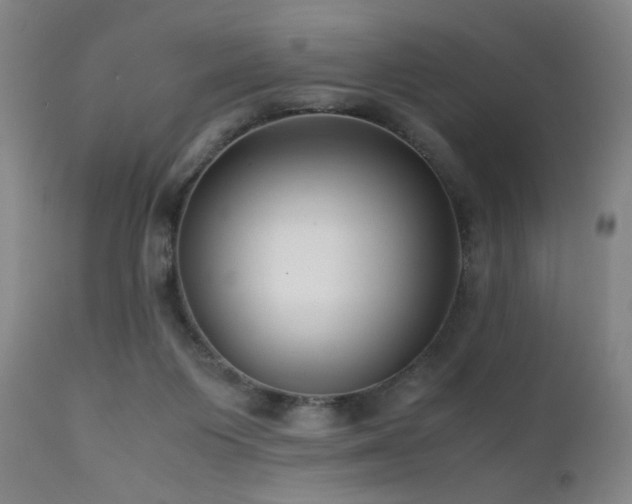 X0000111500119200907141322