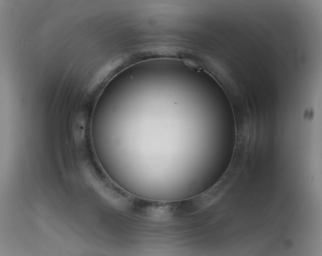 X0000111500120200907141322