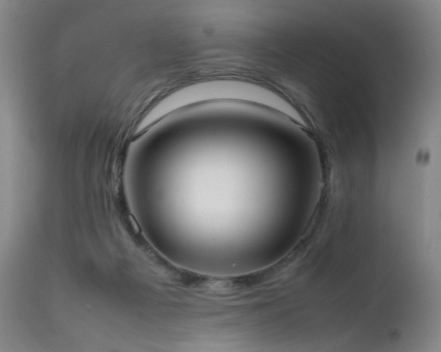 X0000111500121200907141321
