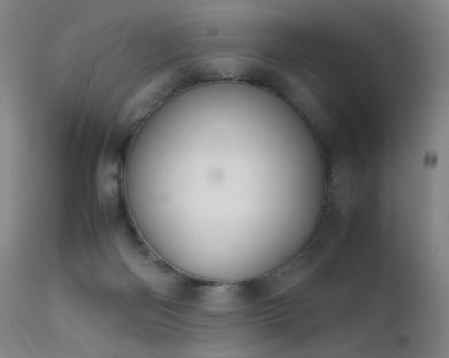 X0000111500122200907141321