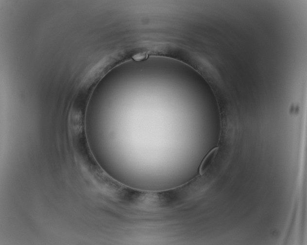 X0000111500123200907141321