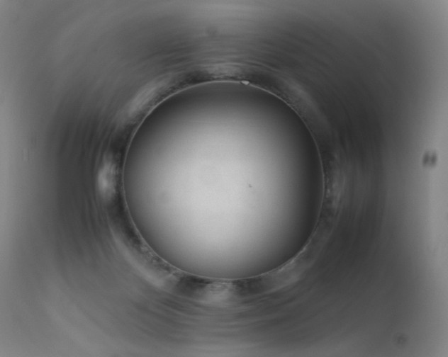 X0000111500124200907141321