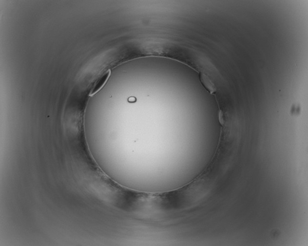 X0000111500125200907141321