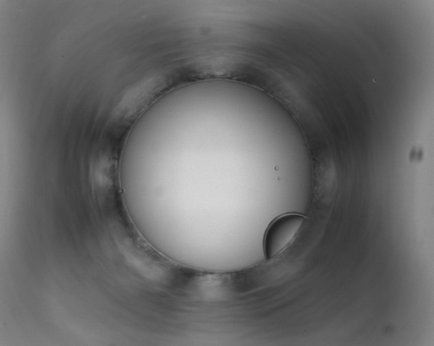 X0000111500126200907141321