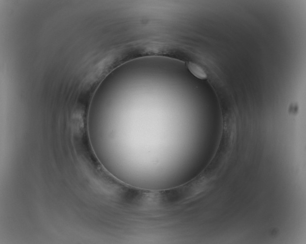 X0000111500127200907141321