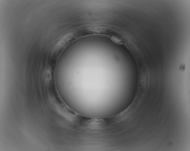X0000111500128200907141321