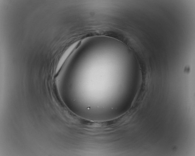 X0000111500129200907141321
