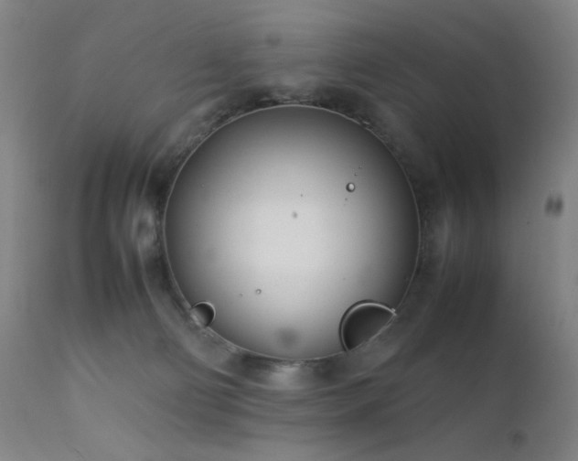 X0000111500130200907141321