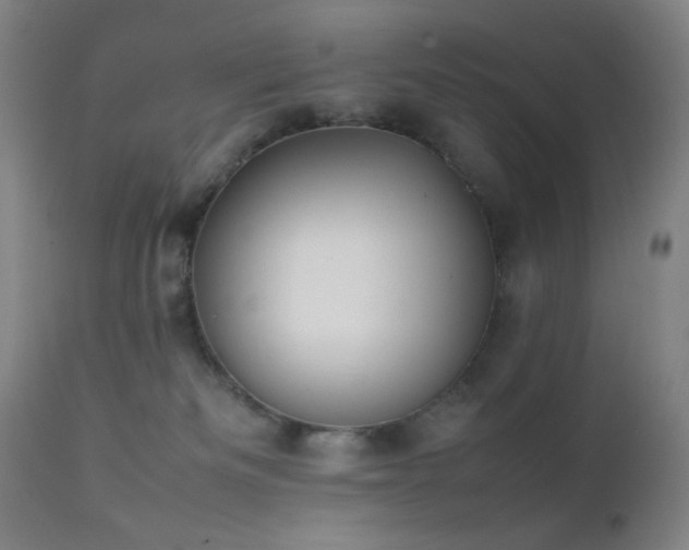 X0000111500133200907141321