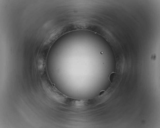 X0000111500134200907141321