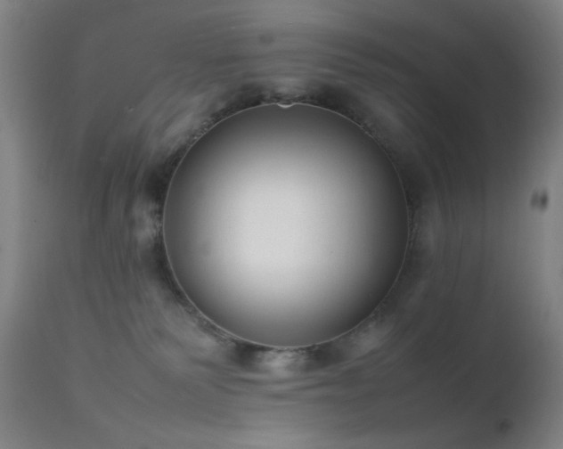 X0000111500135200907141321