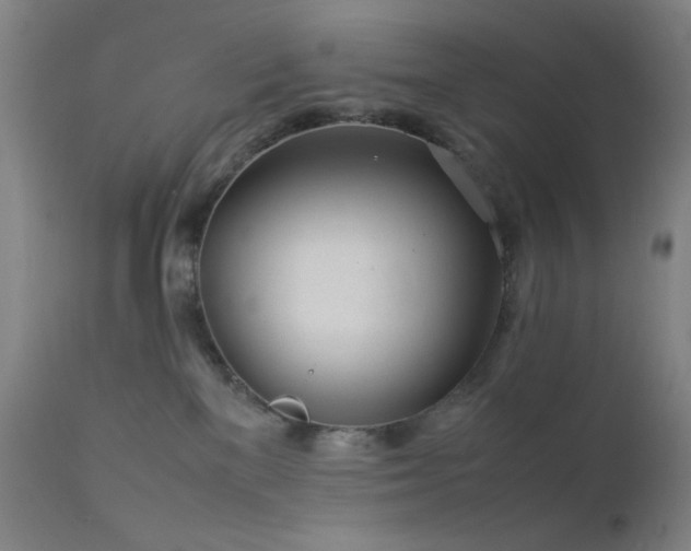 X0000111500137200907141321