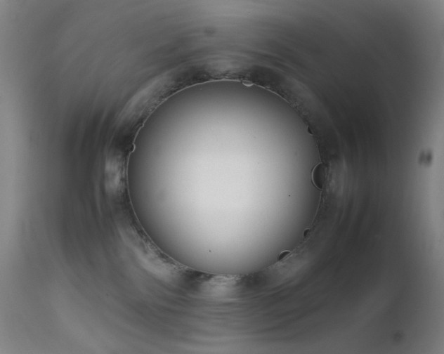X0000111500138200907141321