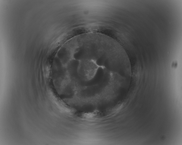 X0000111500139200907141321