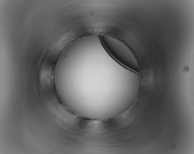 X0000111500140200907141321
